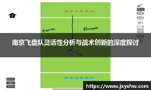 南京飞盘队灵活性分析与战术创新的深度探讨