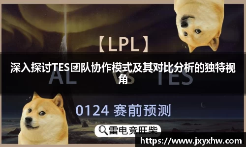 深入探讨TES团队协作模式及其对比分析的独特视角