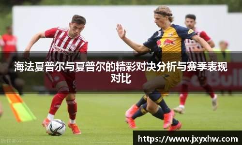 海法夏普尔与夏普尔的精彩对决分析与赛季表现对比