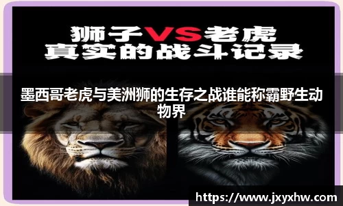墨西哥老虎与美洲狮的生存之战谁能称霸野生动物界